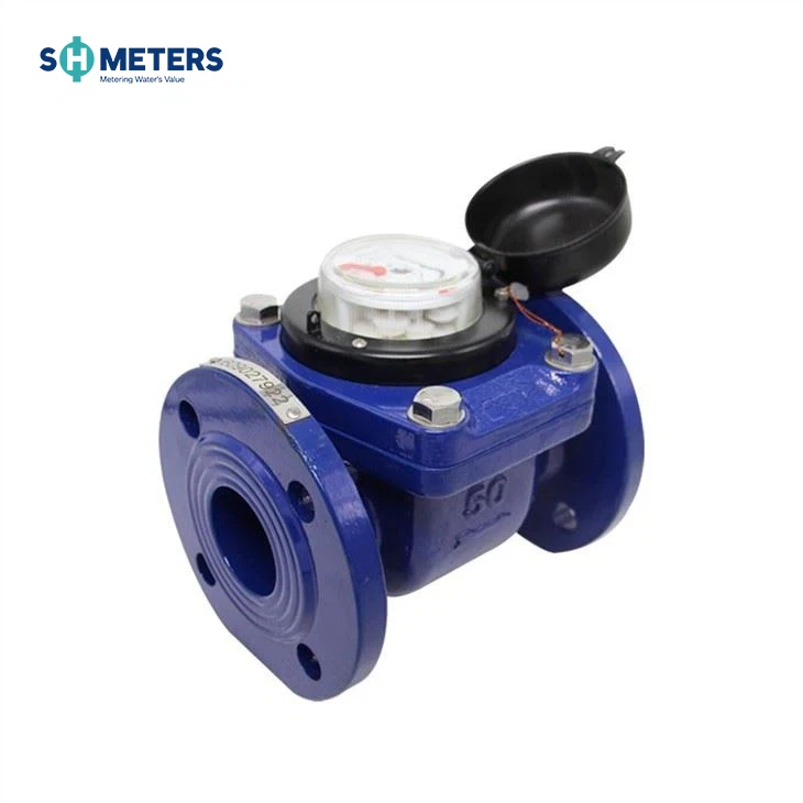 Top Selling Removable Element Woltman Cold /Hot Water Meter Top Selling Removable Element Woltman Cold /Hot Water Meter