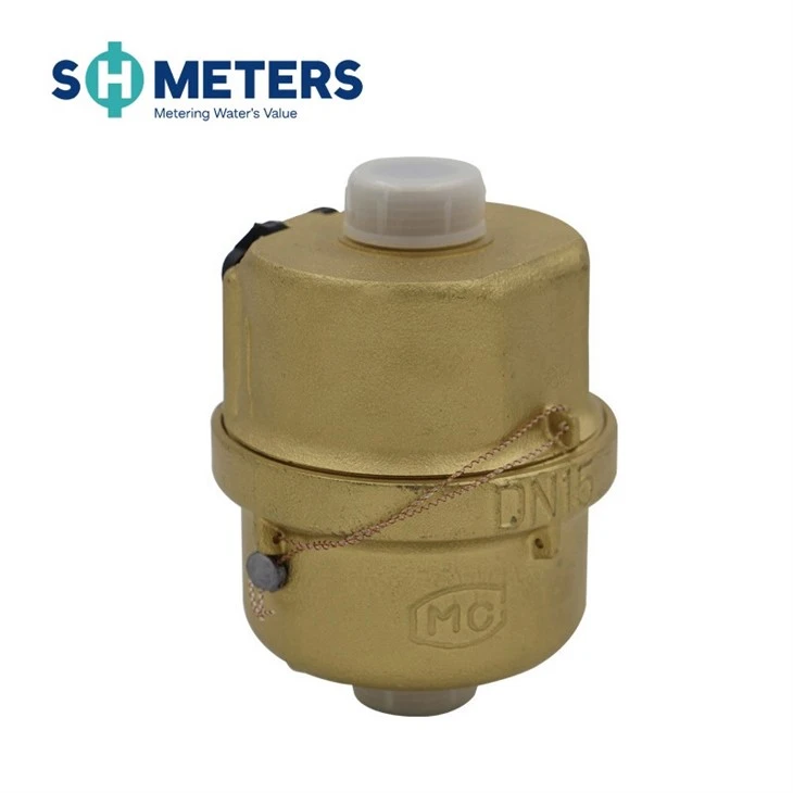 Volumetric Rotary Pistion Water Meter Horizonatal Water Meter Type Volumetric Rotary Pistion Water Meter Horizonatal Water Meter Type